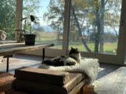 Våningen i Mossbystrand