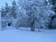 Apartment Northernlightroad