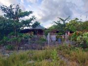Homestead Farm Payag Bahay Kubo