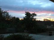 Top Fallbrook