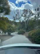 Top Fallbrook