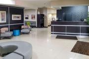 Top Corydon