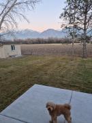 Top Provo
