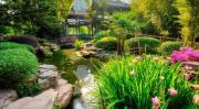 Top Chengdu