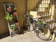 Top Rivarolo Canavese