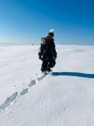 Top Căpîlniţa Top Căpîlniţa