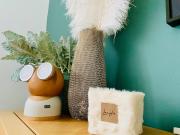 Studio face au château de Thy