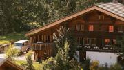 Gstaad Mountain Chalet With Outdoor Spa