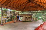 Top Ponda