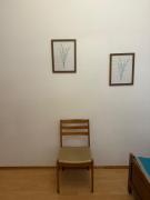 Cozy 3-Bedroom Apartment Central Vienna