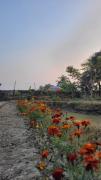 Top Gopālganj
