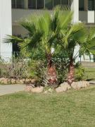 Top Fuengirola