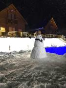 Top Bešenovački Prnjavor