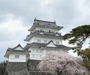 梅の宿 Umenoya 小田原城5分箱根15分城下町と温泉を愉しむ東海道の古民家ステイ PC1