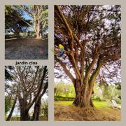 Top La Plaine-sur-Mer