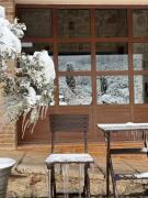 Top Synikia Mesi Trikalon