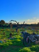 lexpérience Berbère