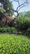Top Auroville