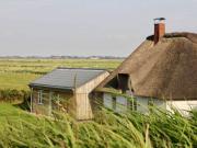 Top Westerhever