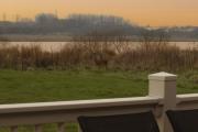 Top Hambleton