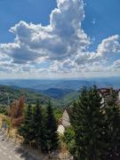 Top Kopaonik