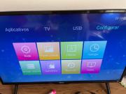 Studio Palm Garden em Nova Andradina