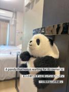 New apartment Asakusa 5 chome 24H check in