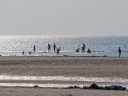 Top Sankt Peter-Ording
