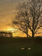 Steves Place Haasdonk