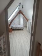 Le chant des grenouilles