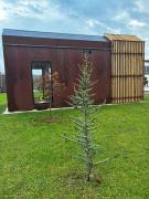 Rusty Cabin -Tiny House