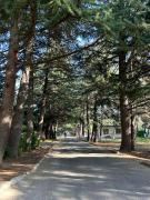 mtatsminda residence