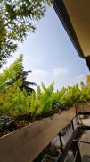 Top Mysore