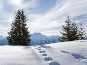 Top Villars-sur-Ollon