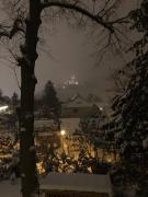 Castrum Visum Wernigerode