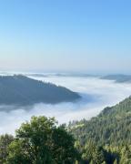 Top Verkhniy Yasenov