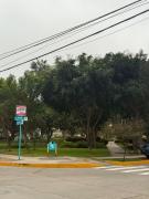 Top Lima