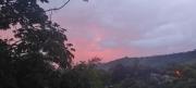 Top Alajuela