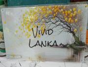 Vivid Lanka