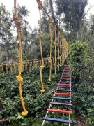 Nature Green Homestay By StayApart