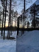 Ullr Glass Cabin with Forest View