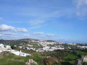 Top Apollonia