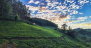 Top Munnar