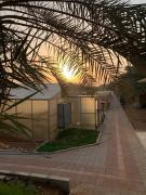 New 3bhk kidsplayground orchid farm resort farm house ras al khaima