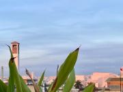 Top Casablanca