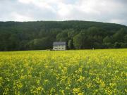 Ferienwohnung im Dachgeschoss, Homberg