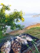 Top Ban Hin Hak