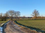 Top Oderberg
