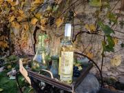 Top Dolní Dunajovice