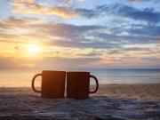Boathouse Bed and Biscuit - Cabin